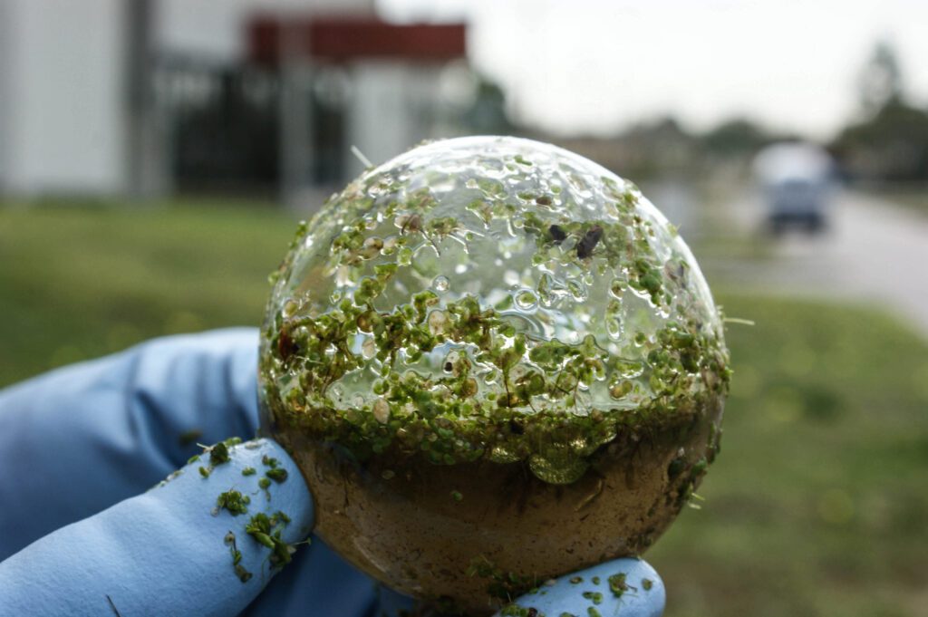 Mano con guantes de plástico sosteniendo una esfera de vidrio con plantas dentro
