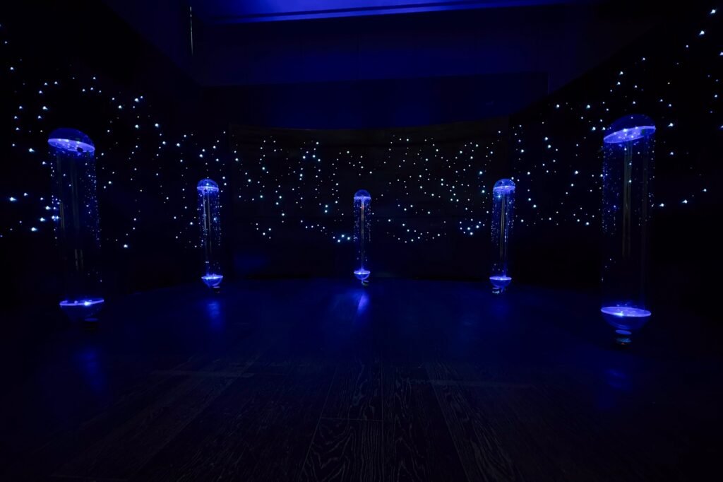 años luz palacio libertad