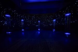años luz palacio libertad